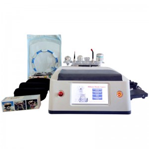 RBS05 Infrared Laser maka Animal Veterinary Laser 980nm Diode Laser Physiotherapy Therapeutic 980nm Laser