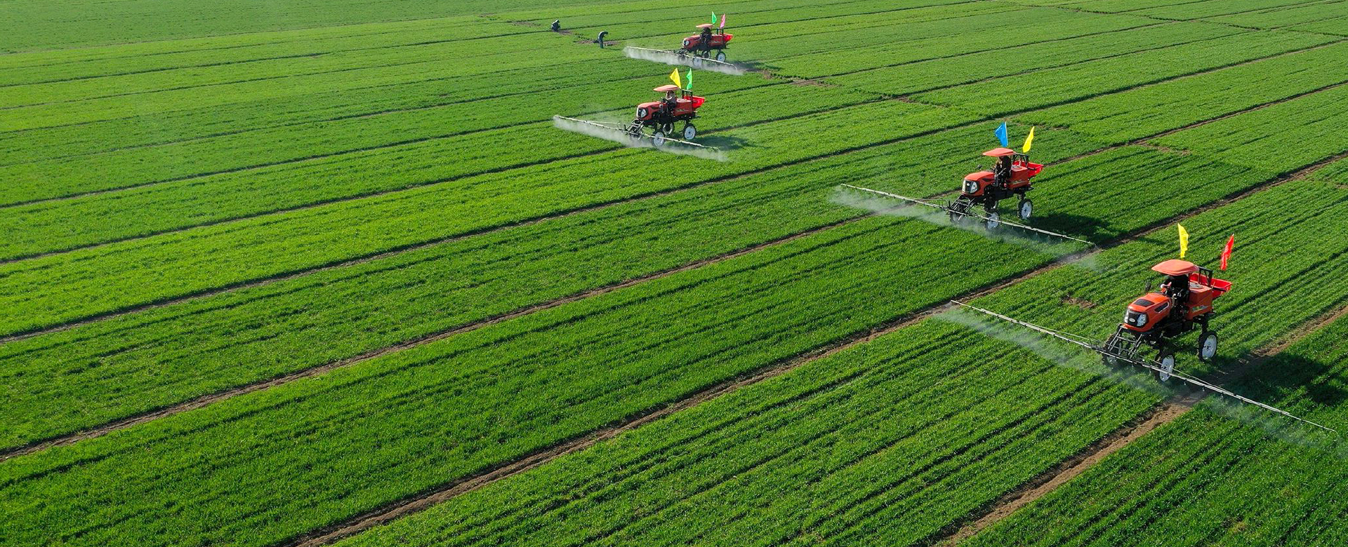 Pay attention to these 9 things when spraying herbicides!
