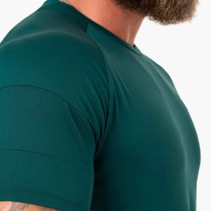 Logoya Custom Polyester Body Building Plain Fitness Blank Sports Gym T shirts For Man