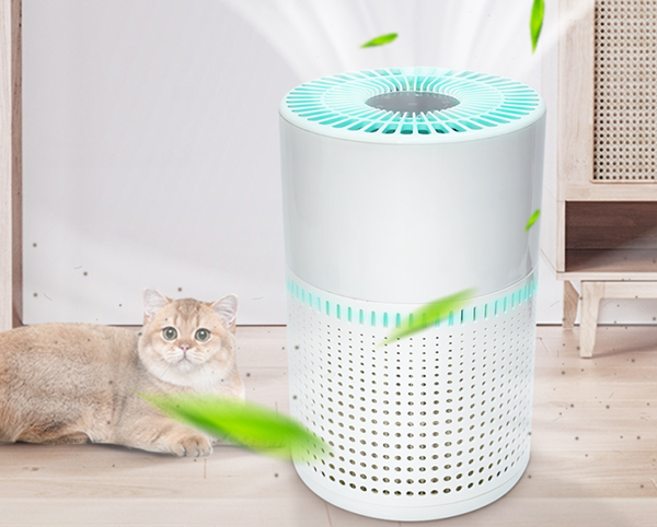 How to Use Air Purifiers