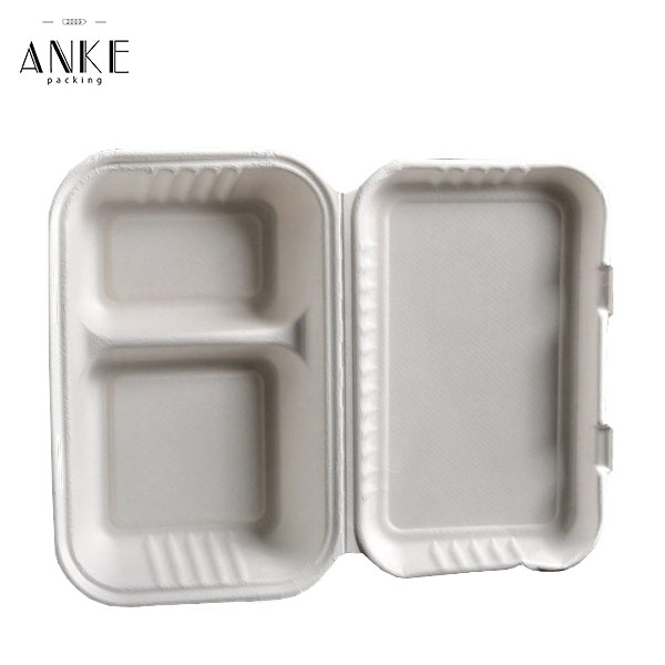 2 Compartment Compostable Sugarcane Pulp Lunch Box