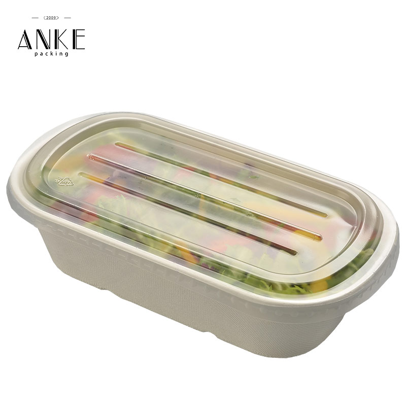 Compostable ecofriendly ecosource leakproof bento lunch box