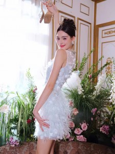 Proveedor de mini vestidos de festa de noite personalizados de Feather Prosperous Sequin