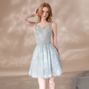Crystal Embroidery Bead Puffy Dress