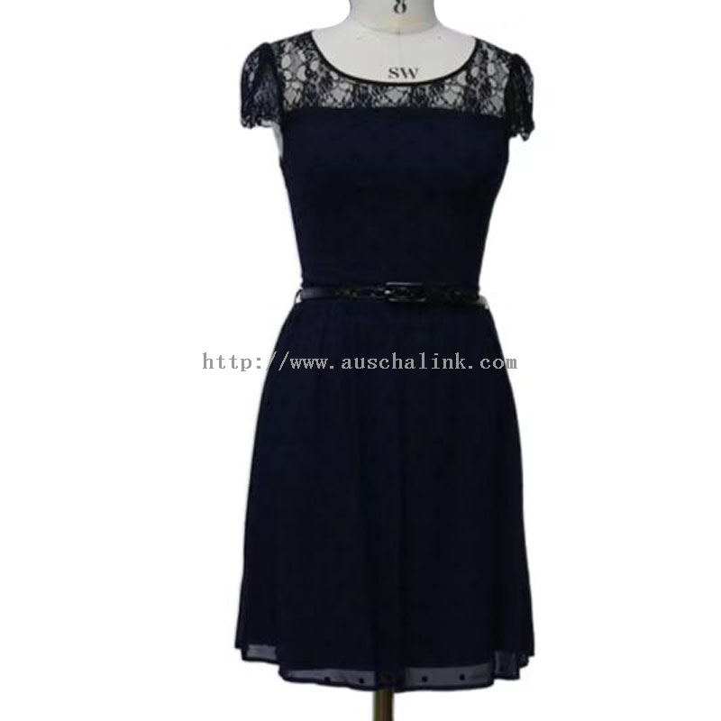 Navy Blue Lace Round Neck Elegant Casual Dress