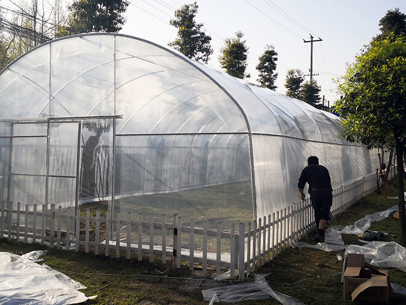 Rumah kaca tomat terowongan tinggi dengan jaring teduh, rumah kaca pertanian-PTD003