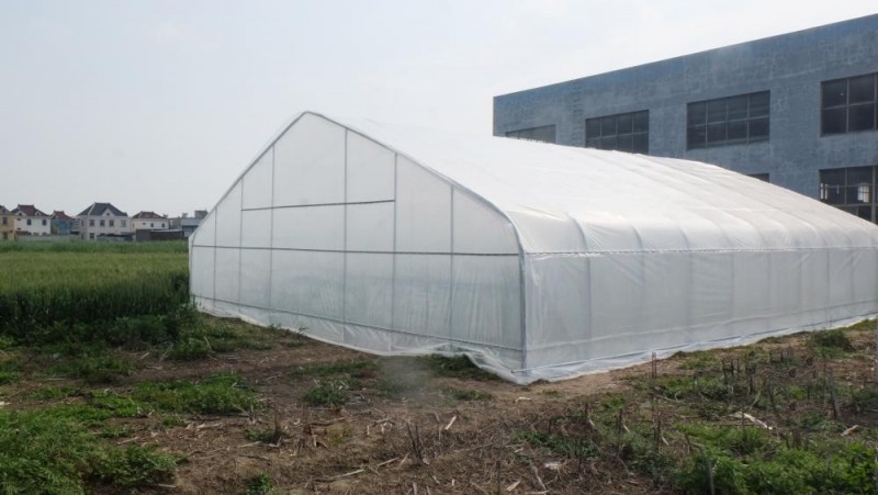 Plastic Film tunnel Greenhouse iseti epheleleyo imifuno greenhouse strawberry ukukhula
