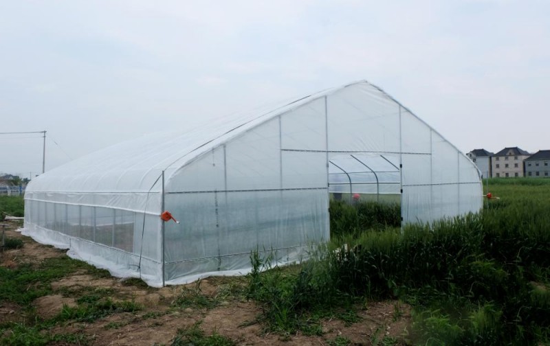 तरकारी हरितगृह स्ट्रबेरी उब्जनीका लागि प्लास्टिक फिल्म टनेल ग्रीनहाउस फुल सेट
