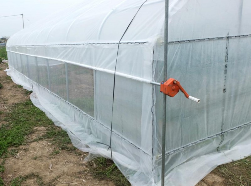 Ensemble complet de serre de tunnel de Film plastique pour la culture de fraises de serre de légumes