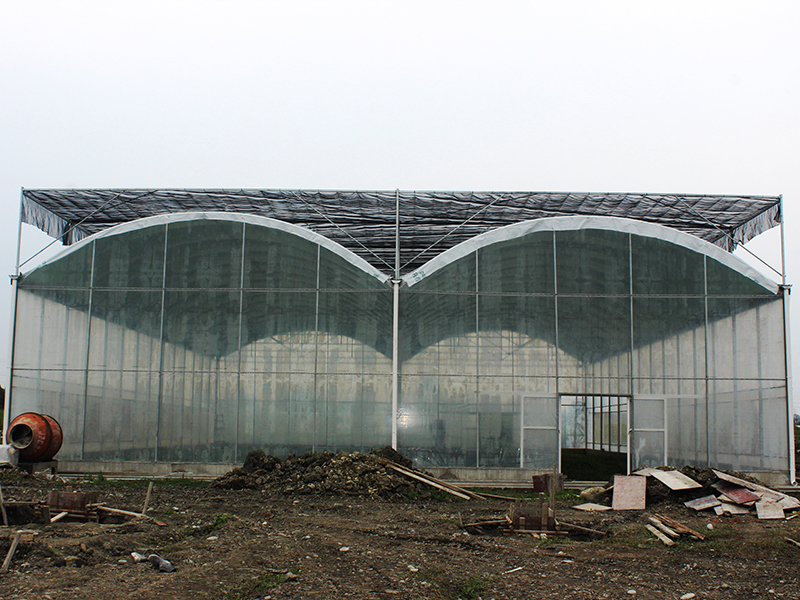 Loại mái vòm nhiều nhịp Màu xanh lá cây-trắng che bóng Nhà kính nông nghiệp với hệ thống che nắng bên ngoài-PMD008