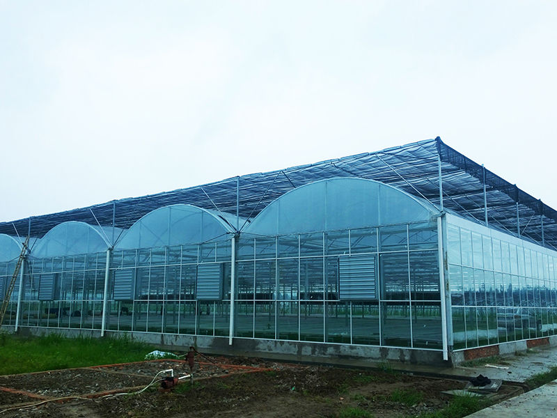 Gärtnerei-Gewächshaus Kommerzielles Gewächshaus mit mehreren Spannweiten aus Glas und Folie zu verkaufen-PMD010