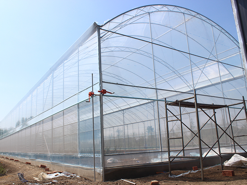 High Quality Single Span Cannabis Greenhouse - Fruit planting high tunnel multi-span film greenhouse-PMD013 – Aixiang