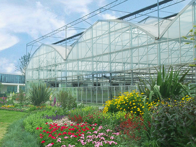 Nhà máy cung cấp nhà kính trồng hoa nhiều tầng với băng ghế dài và tất cả các hệ thống tùy chọn-PMG006