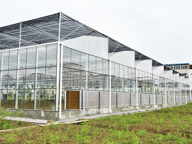 Sägezahndach-Gewächshaus mit mehreren Spannweiten aus Glas und Folie mit externem Beschattungssystem-PMS003