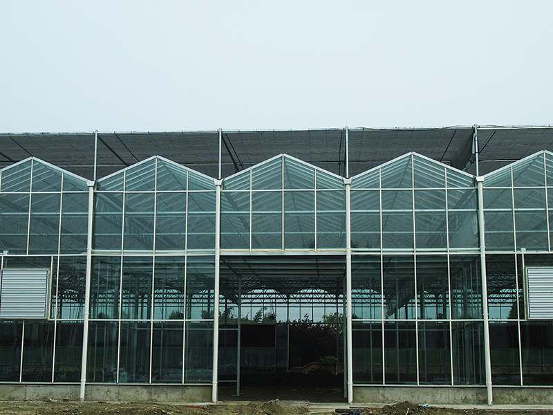 2021 High quality Even Span Greenhouse - Ordinary Discount China Venlo Type Glass Green House/Glasshouse for Vegetables/Flowers/Cucumber/Exhibition Hall/Farm with Float Glass/Good Transmittance/Ga...