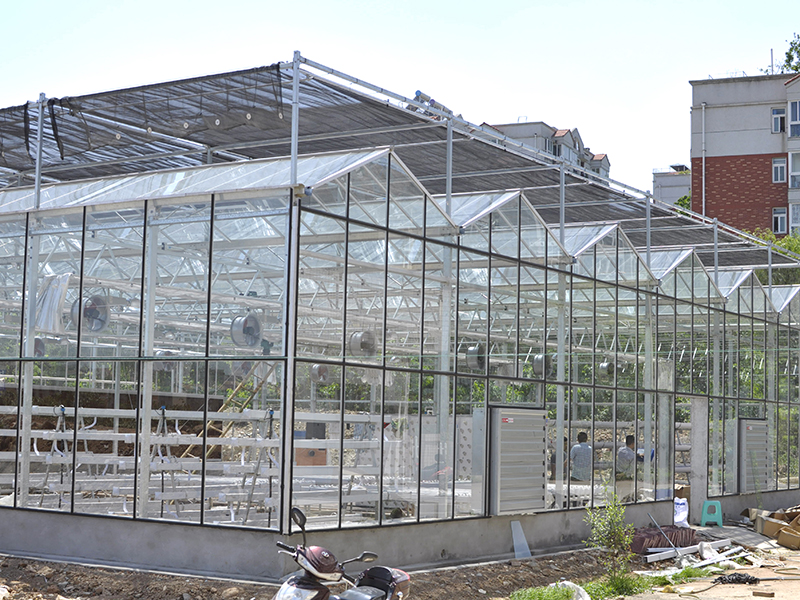 Professionelle Herstellung für Gewächshaus aus gehärtetem Glas in China Venlo mit Hydroponik-PMV011