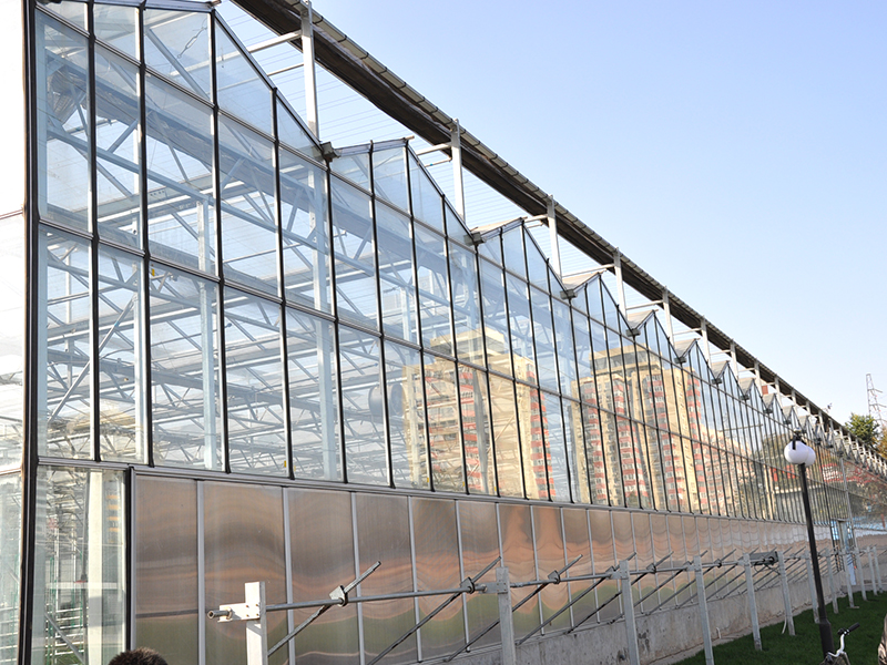 Ganzglas-Venlo-Gewächshaus mit Hebesystem zum Anpflanzen von Erdbeeren-PMV013