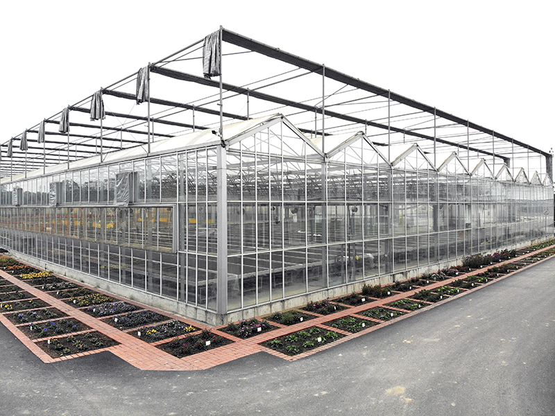 Venlo Type PC Sheet Polycarbonate Board Agricultural Greenhouse for Vegetables/ Flowers-PMV022