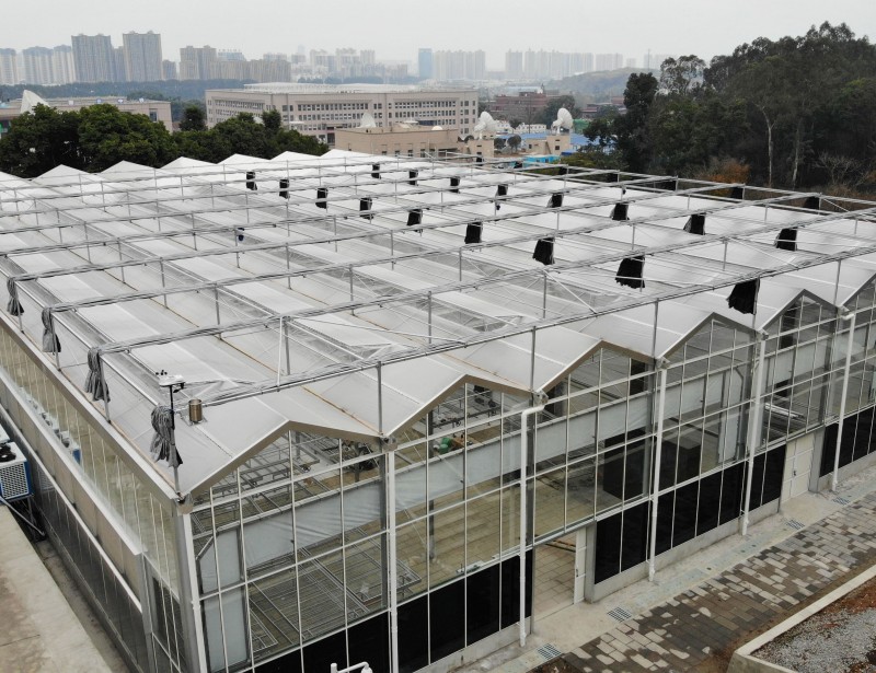 Chengdu Botanical Gardens Greenhouse Project Case