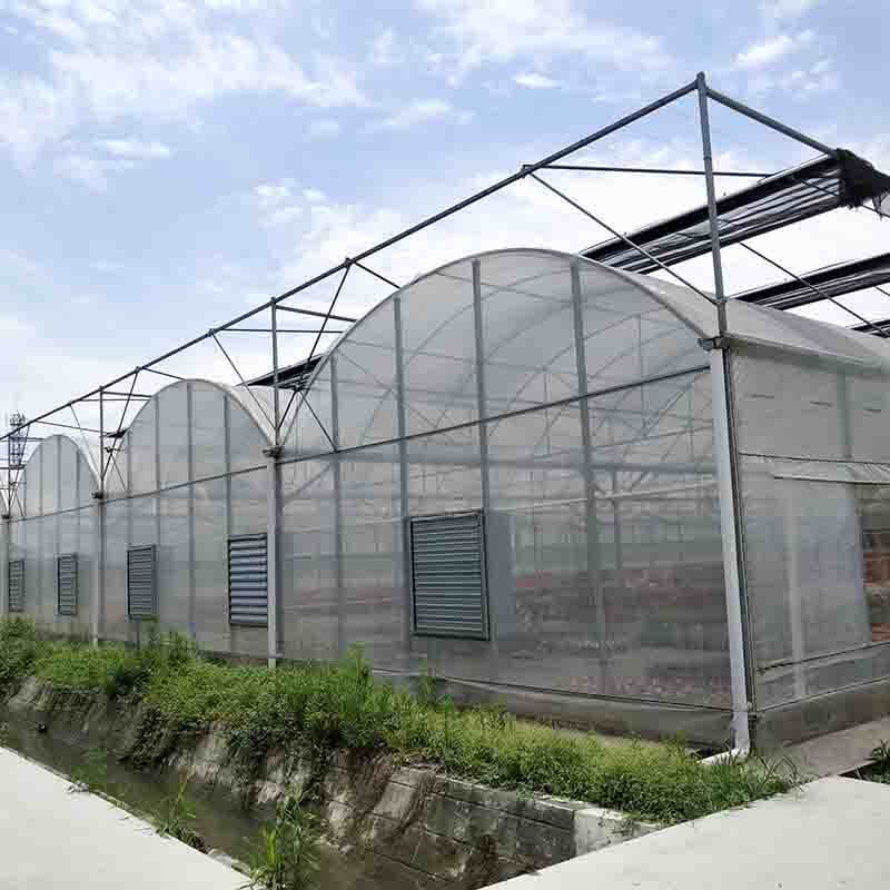 Greenhouse-Fonds-Antrag