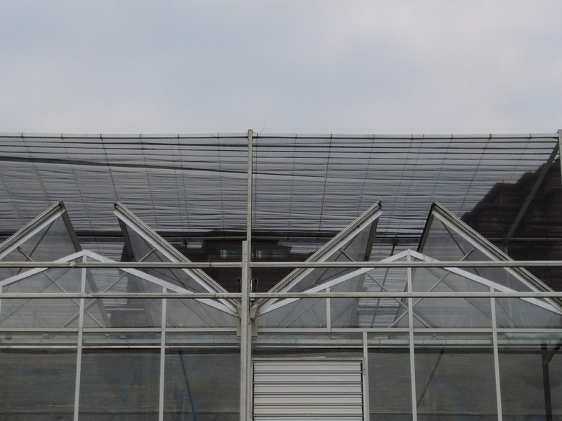 High end intelligent control Venlo glass greenhouses Na may buong tuktok na bukas na mga bintana