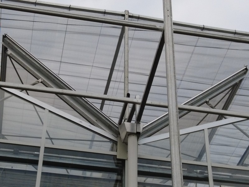 گلخانه های شیشه ای ونلو با کنترل هوشمند بالا با پنجره های کاملاً باز