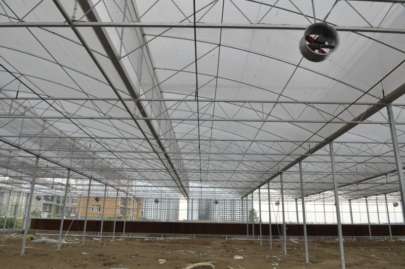 Hệ thống thông gió nông nghiệp Cấu trúc nhà kính răng cưa bằng kính và nhựa fim với hệ thống thủy canh