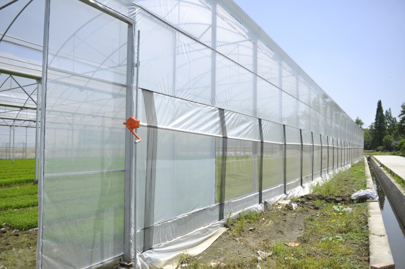 Multispan 4-Jahreszeiten-Plastikfolien-Insektennetz-Gewächshaus für Gurken