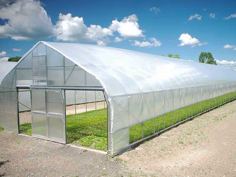 China OEM China Single Span/Commercial/Tunnel/Film Polycarbonat Farm Agriculture Greenhouse-PTG001