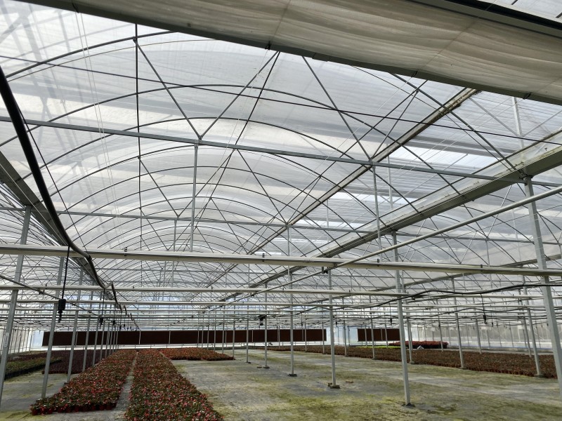 Kommerzielles einschichtiges Gewächshaus aus Kunststofffolie für den Blumenanbau Mehrspannige landwirtschaftliche Gewächshäuser mit Hydrokultursystem