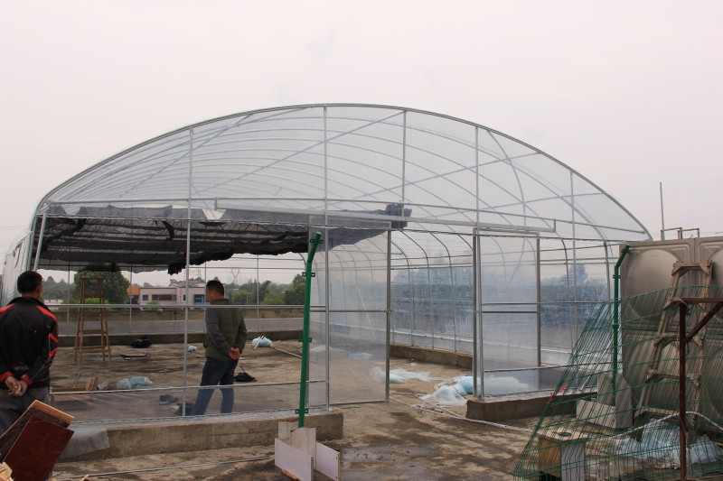 Nhà kính màng một nhịp đường hầm 丨 Nhà sản xuất Trung Quốc 丨 Thiết kế nhà kính thương mại, thích hợp cho trồng hoa và rau