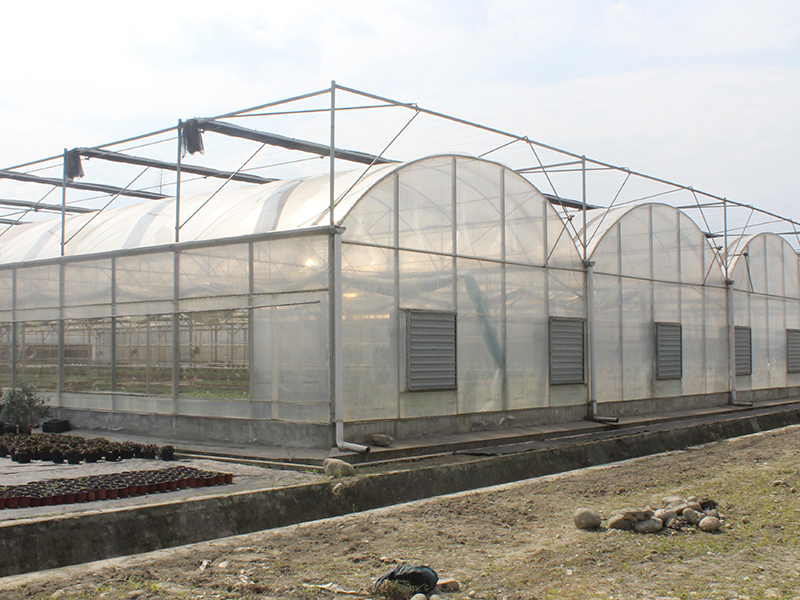 Mehrspanniges Stahlkonstruktions-Gewächshaus für Gemüse und Garten-PMD002