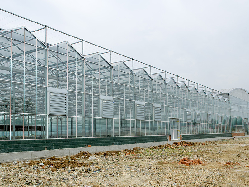 Tau fa'aitiitia China Intelligent Venlo Hollow Glass Grow Tents Kits/Greenhouse for Agriculture Hydroponics-PMV001
