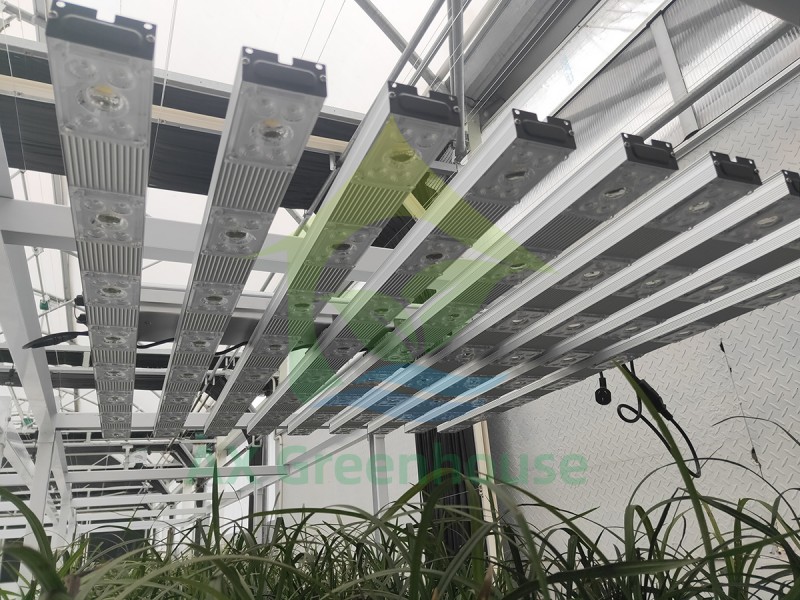 Bancs rodants hidropònics d'alta qualitat apilables de flux i refluig, bastidors de cultiu verticals interiors, ús de taula per a l'agricultura-ERB001