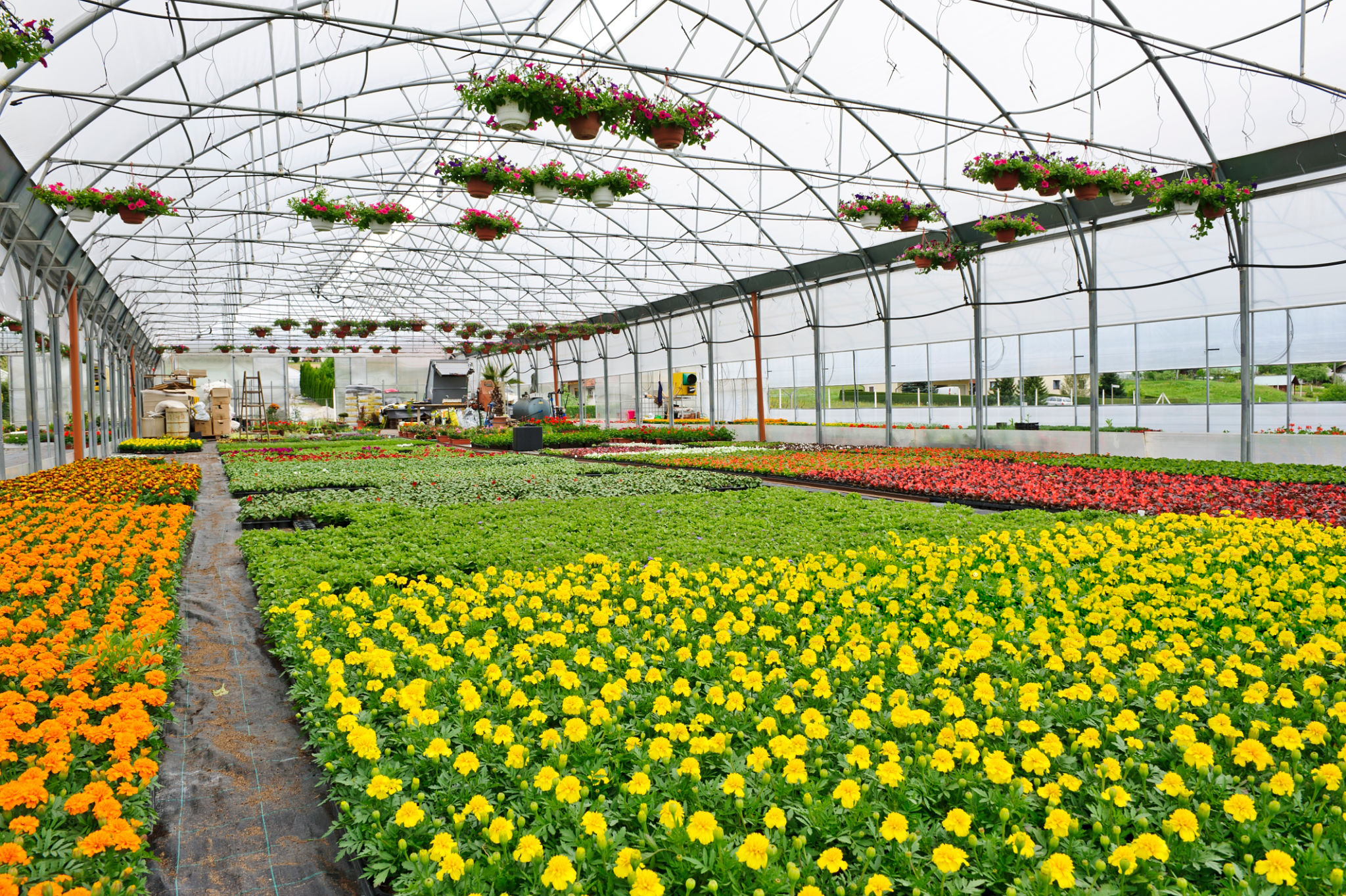 How To Choose Fertilizer For Your Greenhouse