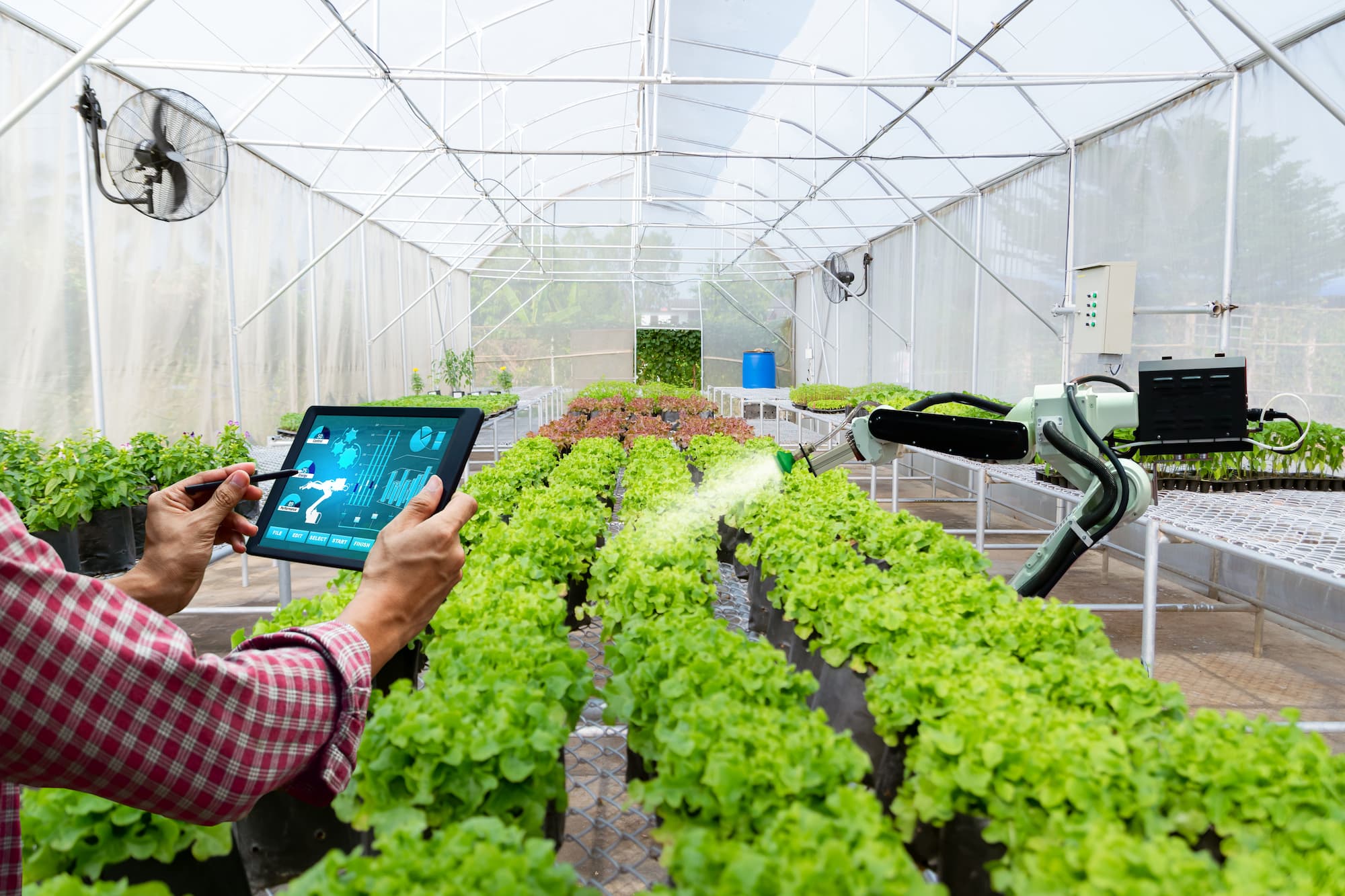 The difference between intelligent greenhouse and traditional greenhouse