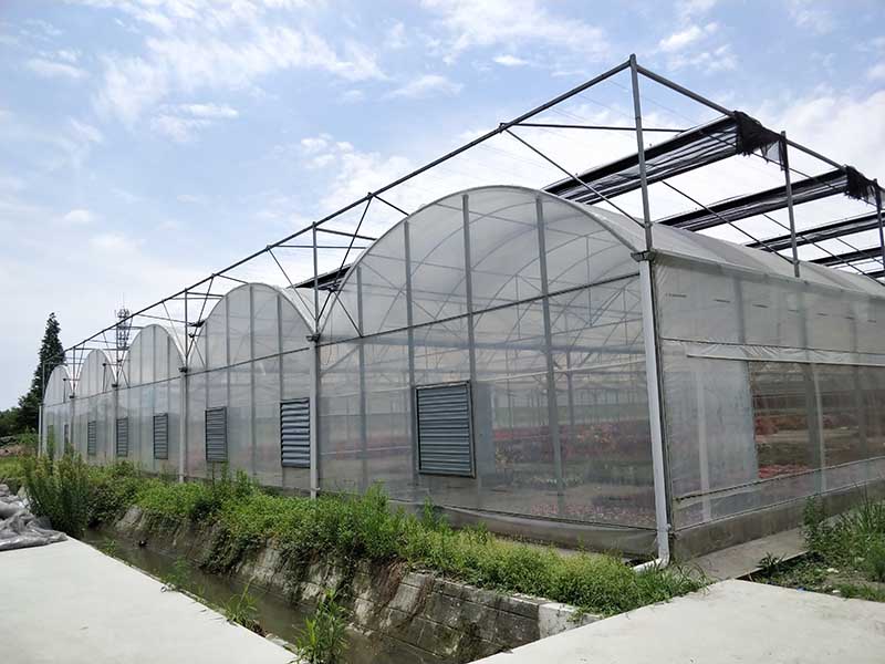 Fabrikkbillig Hot China Økonomisk og praktisk Multi-Span/Enkeltspann Po/PE film drivhus med jordfri dyrking for å dyrke tomat/agurker/jordbær/pepper-PMD001