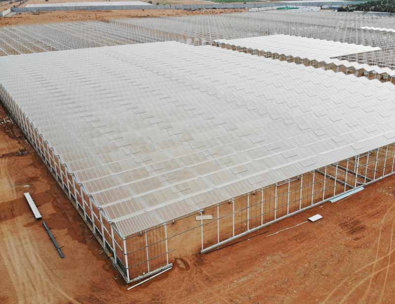 Faktori Pwovizyon pou fèy polikarbonat ki kouvri Greenhouse Multi-span Sèr Sèr Agrikòl