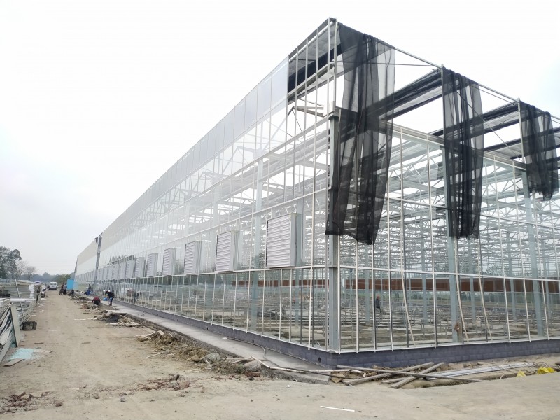 Günstigste Fabrik China Multi-Span Arch/Venlo Type Polycarbonat Board/PC/Glasgewächshaus für den kommerziellen Markt/The Belt and Road Initiative/Gurke/Salat/Pfefferpflanzung-PMV006