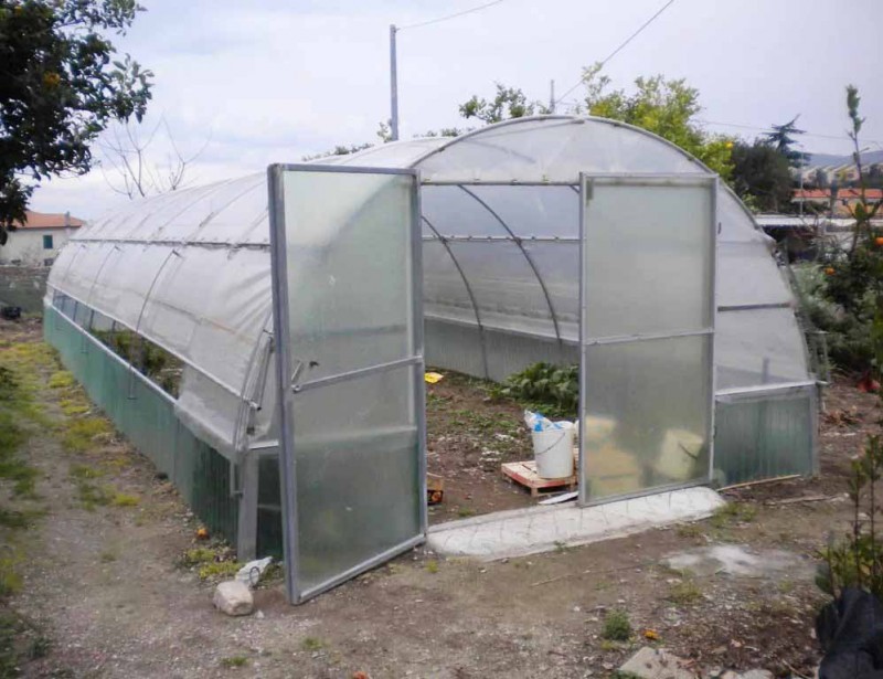 Wirtschaftliches Tunnel-Gewächshaus aus Kunststoff für Gemüse