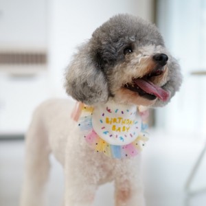 OEM/ODM Manufacturer Dog Dryer - Birthday party bib than bear teddy cat scarf handkerchief – Beejay