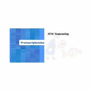 Factory wholesale Gwas Data Analysis - Assay for Transposase-Accessible Chromatin with High Throughput Sequencing (ATAC-seq) – Biomarker