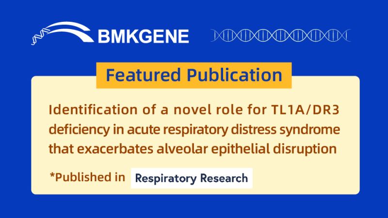 Featured Publication—Identification of a novel role for TL1A/DR3 deficiency in acute respiratory distress syndrome that exacerbates alveolar epithelial disruption