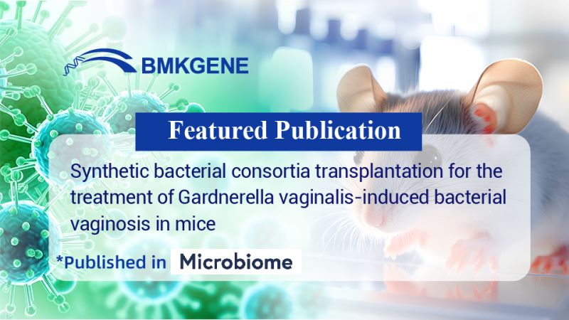 Featured Publication—Synthetic bacterial consortia transplantation for the treatment of Gardnerella vaginalis-induced bacterial vaginosis in mice