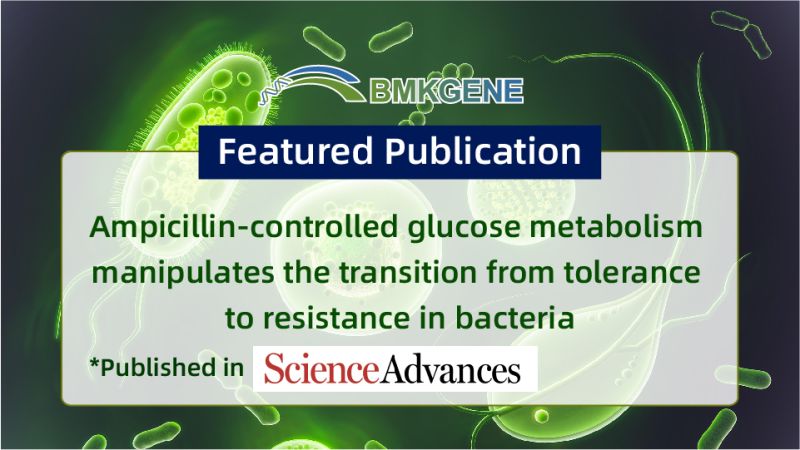 Featured Publication—Ampicillin-controlled glucose metabolism manipulates the transition from tolerance to resistance in bacteria