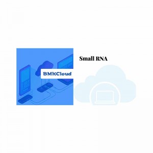Fast delivery Rna Seq Analysis - small RNA – Biomarker