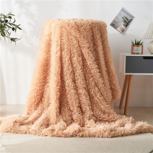 Doa Rangi Wazi Plush PV Fleece Blanket Carpet Floor Mat Plush Fabric