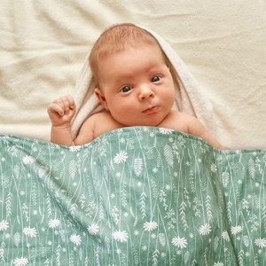 Minky kūdikių antklodė Itin minkšta antklodė kūdikiui su pliušiniu taškiniu pagrindu, dvisluoksnė naujagimio mergaičių antklodė, skirta lopšinei lovelei, mėlyna žalia kiaulpienės gėlė, 30 x 40 colių