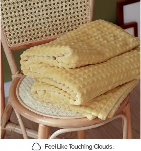 Simple & Opulence Luxury Flannel Fleece Home Furnishing Throw Blanket