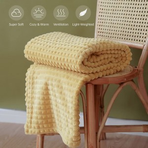 Sederhana & Kemewahan Mewah Flanel Fleece Home Furnishing Throw Blanket